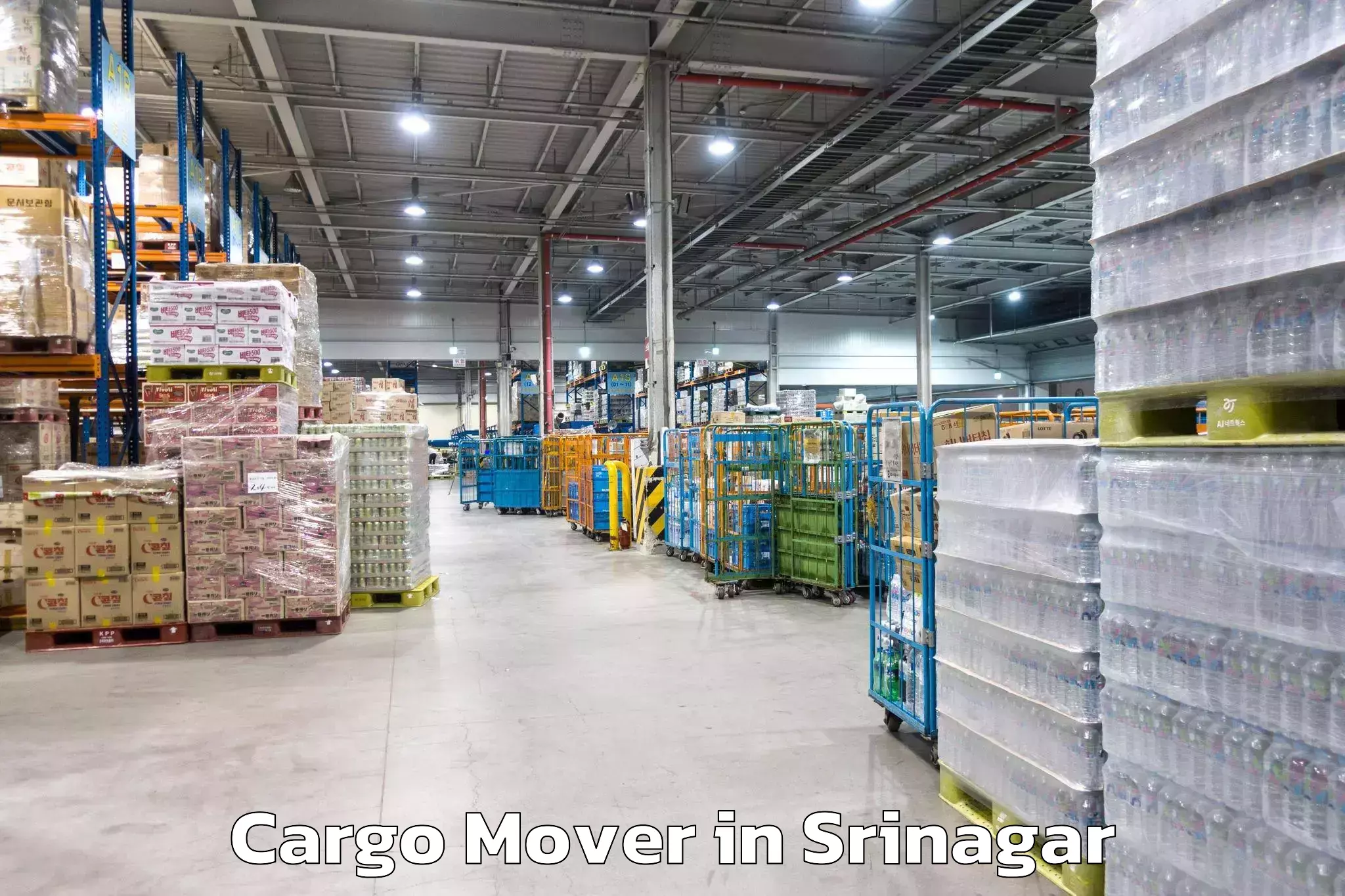 Easy Cargo Mover Booking in Srinagar, Rest of India (JK)